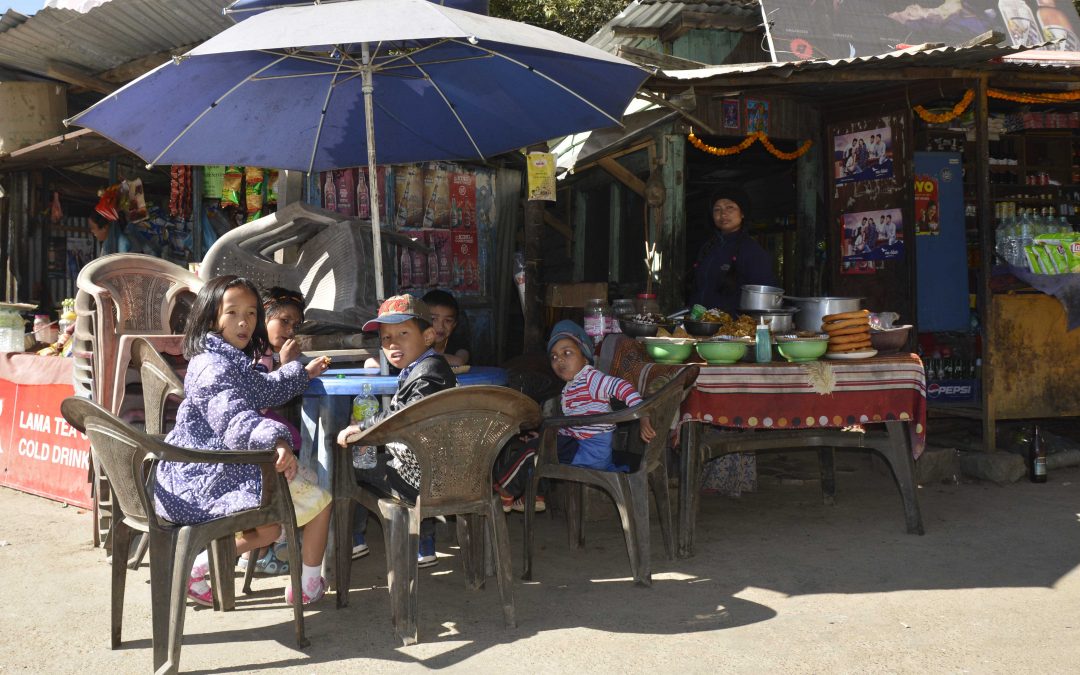 Dia de picnic en Kathmandu